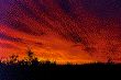 This was the view from my room at Skjoldh�j, �rhus, Denmark